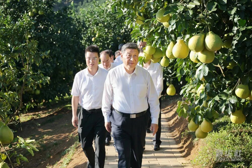九五至尊VI老品牌值得信赖 -官方网站
